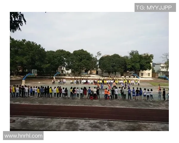 探寻当代篮球运动员成长之路与竞技精神的多维度全景深度解析研究