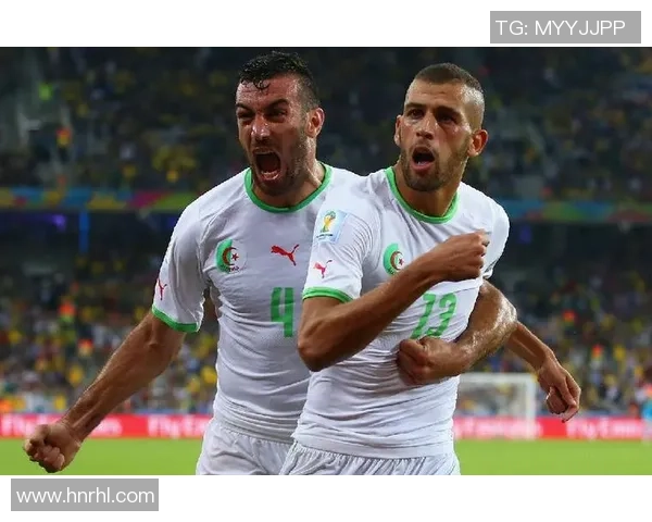 本菲卡崛起之路探秘欧洲足坛新贵的辉煌与挑战